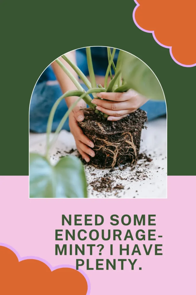 Hilarious One-Liner Houseplant Puns for Every Indoor Plant Lover