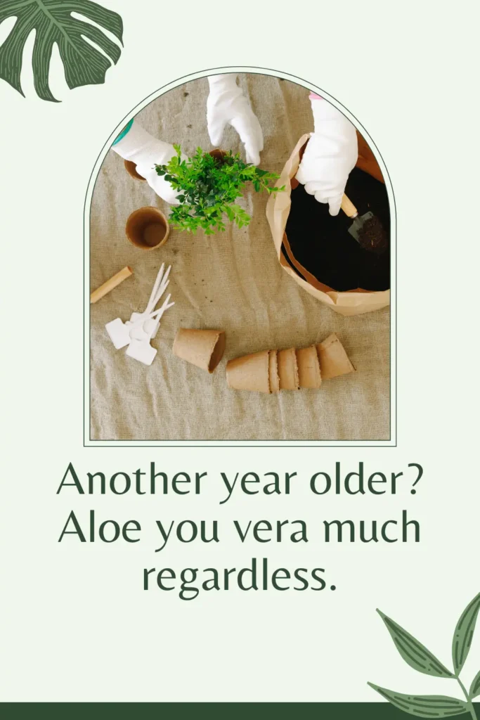 Sharp and Funny One-Liner Succulent Puns and Cactus Puns