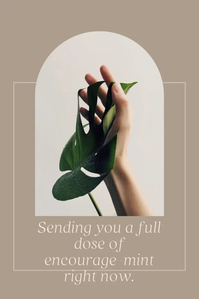 Plant Puns by Occasion — The Section Your Competitors Completely Skipped