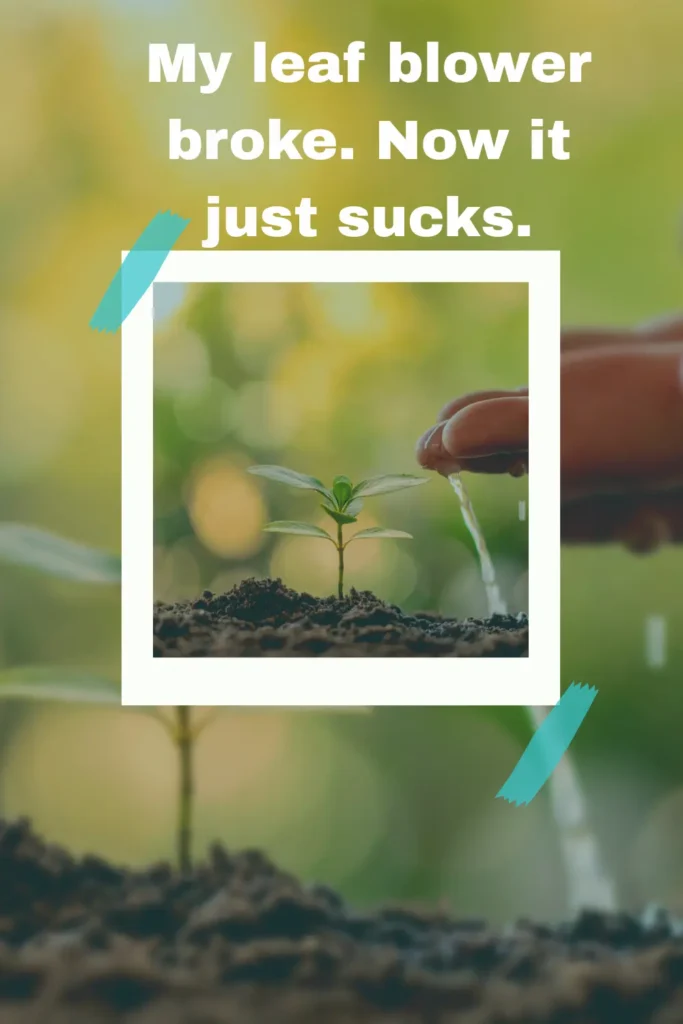 Fresh One-Liner Fruit and Vegetable Puns Ready to Harvest