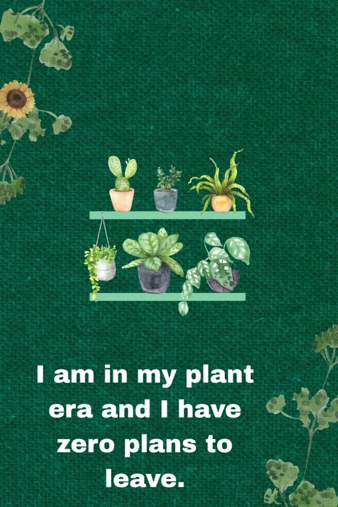 One-Liner Flower Puns That Are Always in Full Bloom