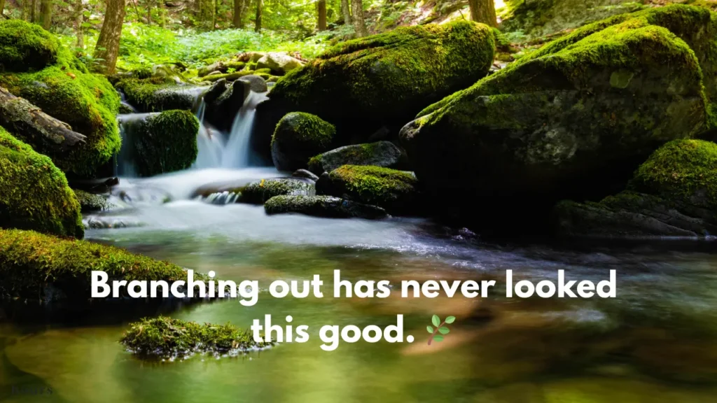 Branching out has never looked this good. 🌿