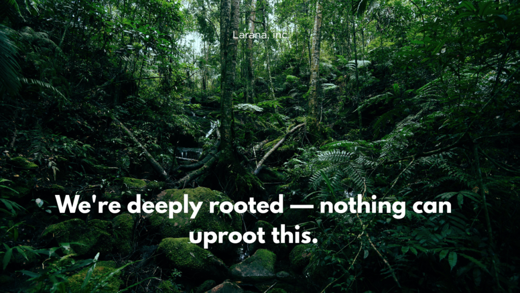 We're deeply rooted — nothing can uproot this.