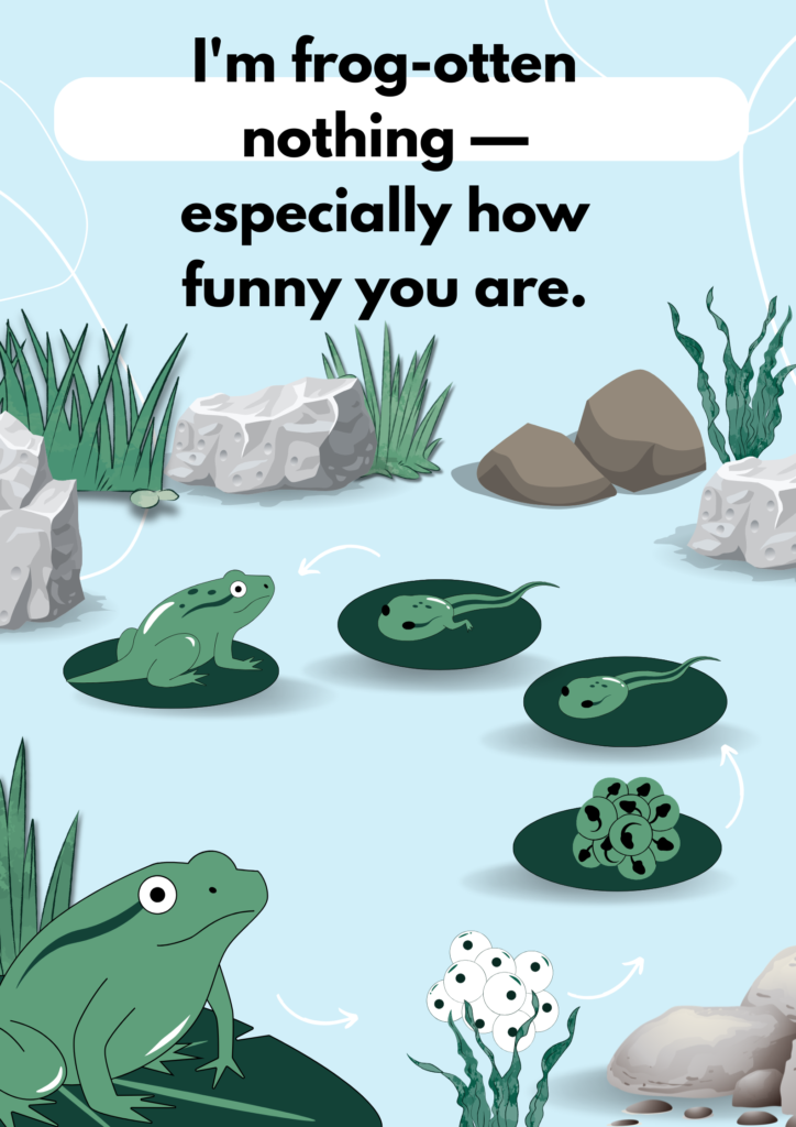 Wishing you a day full of ribbiting adventures.