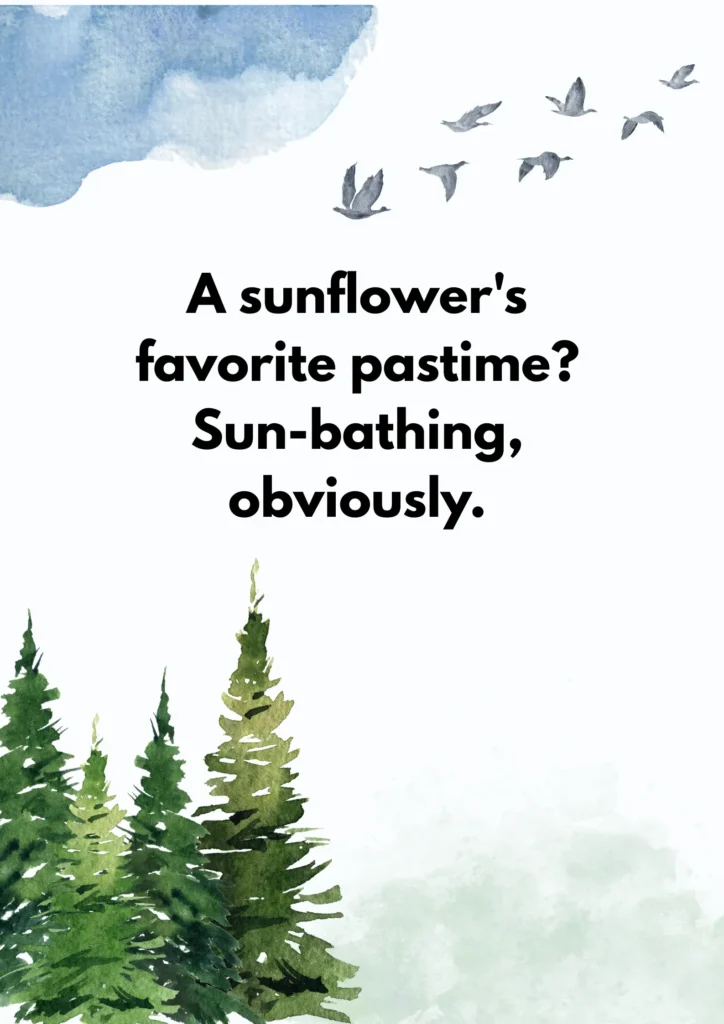 A sunflower's favorite pastime? Sun-bathing, obviously.