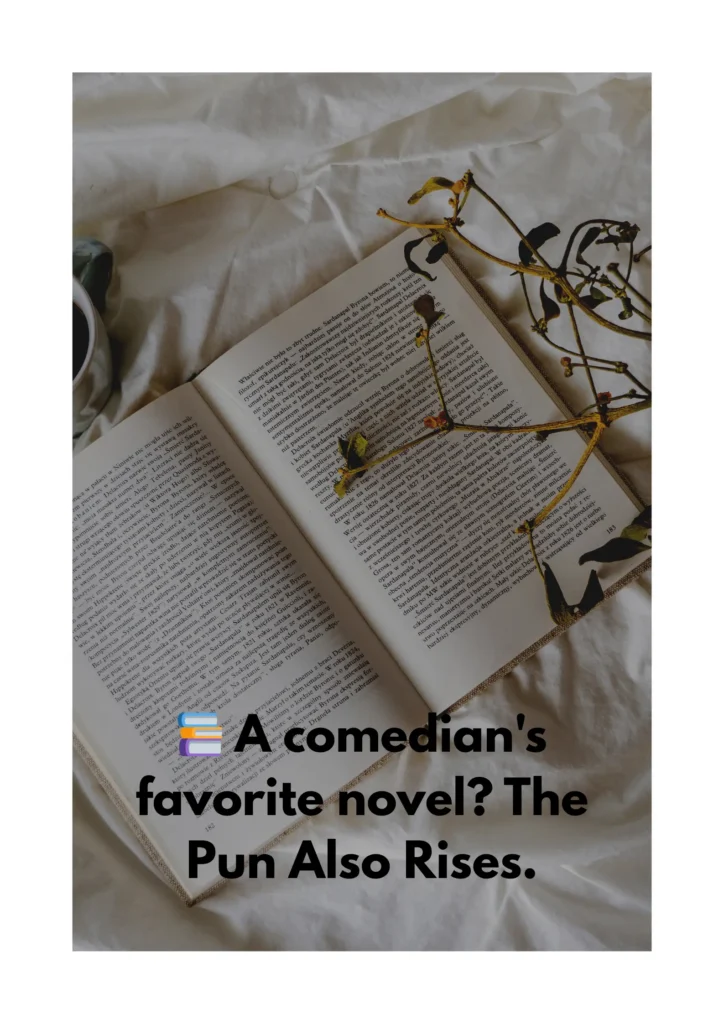 📚 A comedian's favorite novel? The Pun Also Rises.