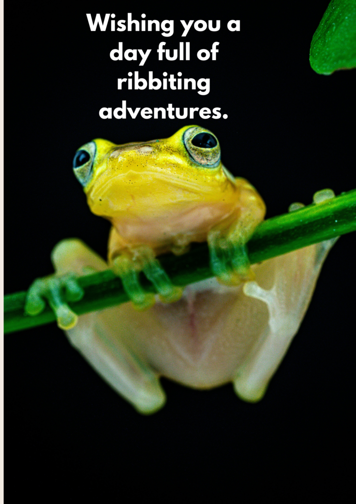 You make me want to leap for joy.