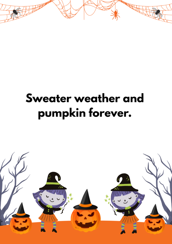 Sweater weather and pumpkin forever.