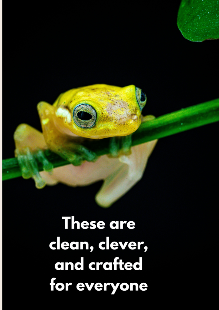 These are clean, clever, and crafted for everyone