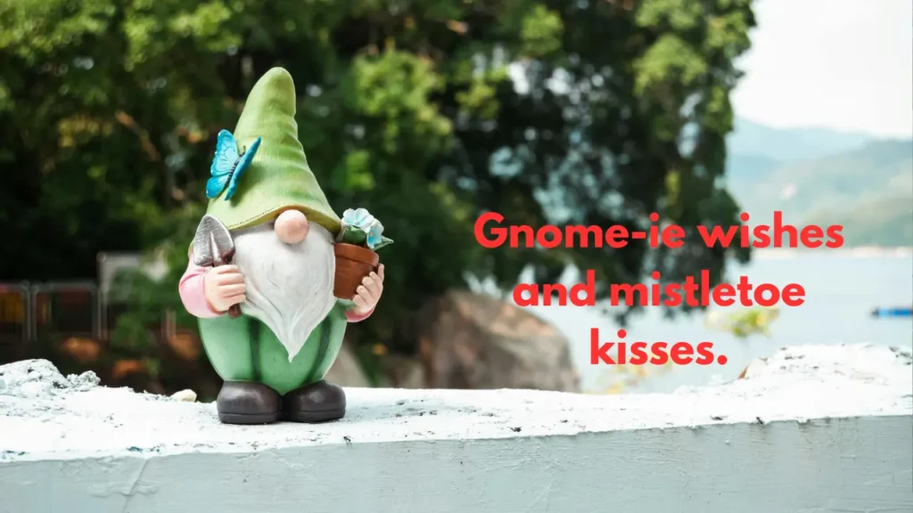 Gnome-ie wishes and mistletoe kisses.