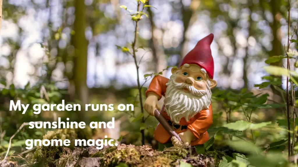 My garden runs on sunshine and gnome magic.