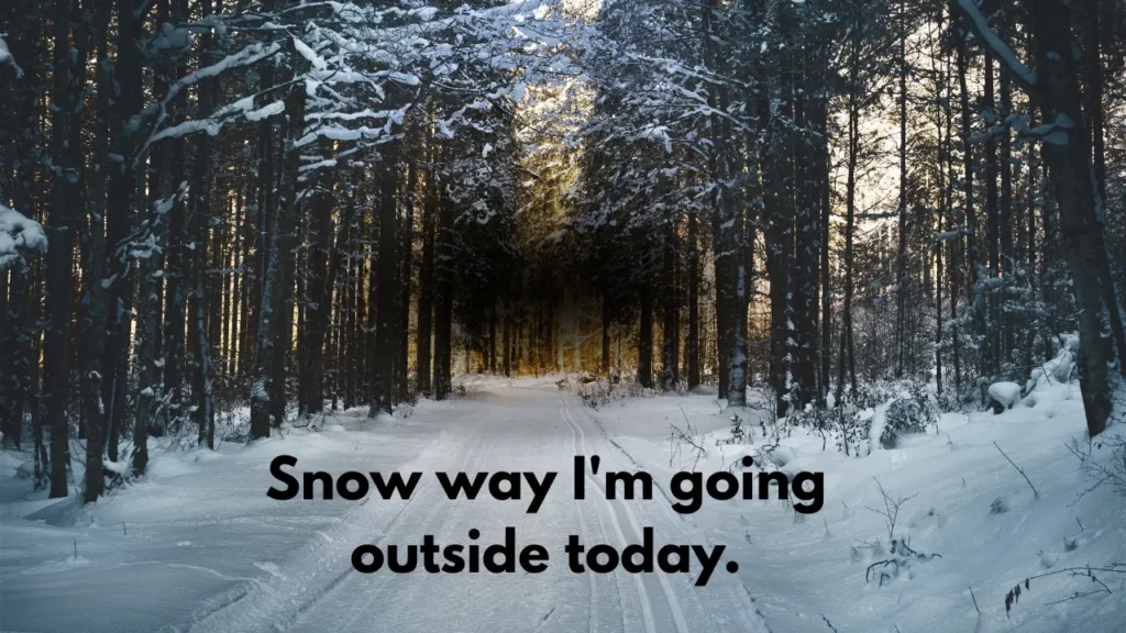 Snow way I'm going outside today.