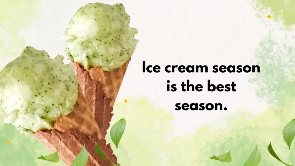 Ice cream season is the best season.