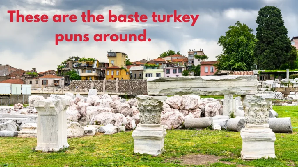 These are the baste turkey puns around.