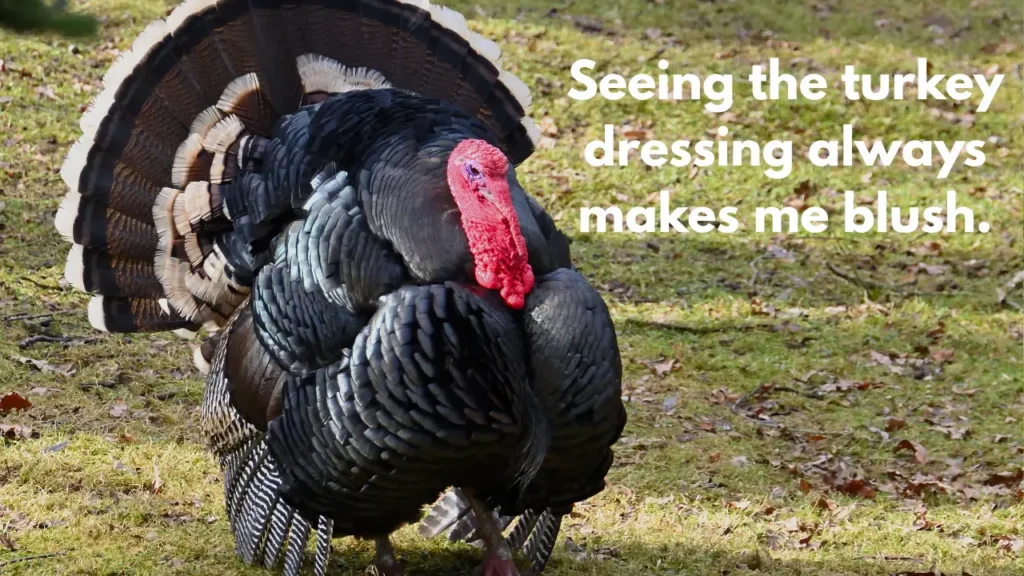 Seeing the turkey dressing always makes me blush.