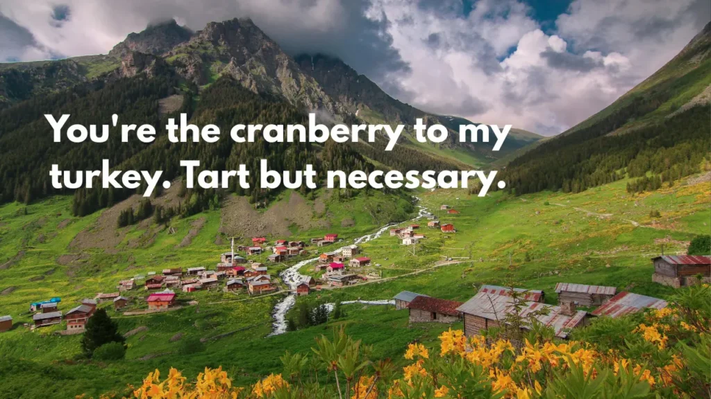 You're the cranberry to my turkey. Tart but necessary.