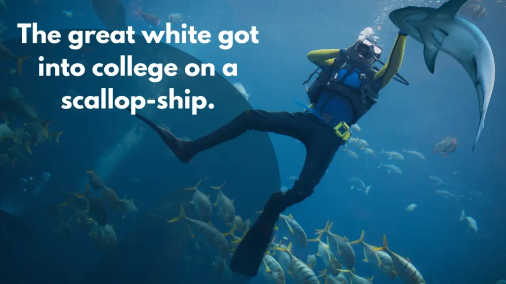 The great white got into college on a scallop-ship.
