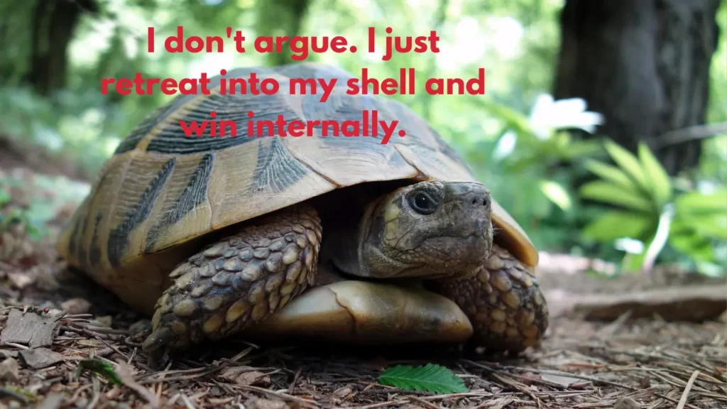 I don't argue. I just retreat into my shell and win internally.