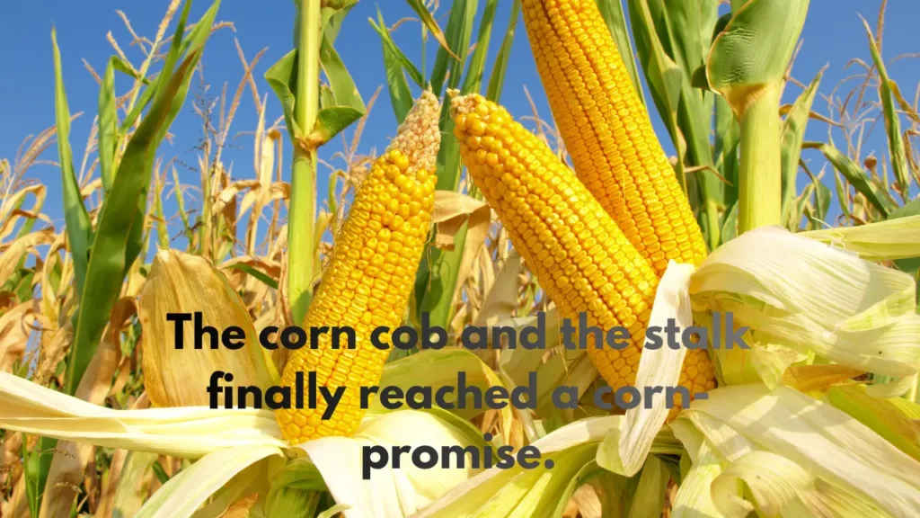 The corn cob and the stalk finally reached a corn-promise.