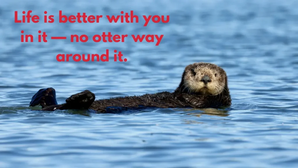 Life is better with you in it — no otter way around it.