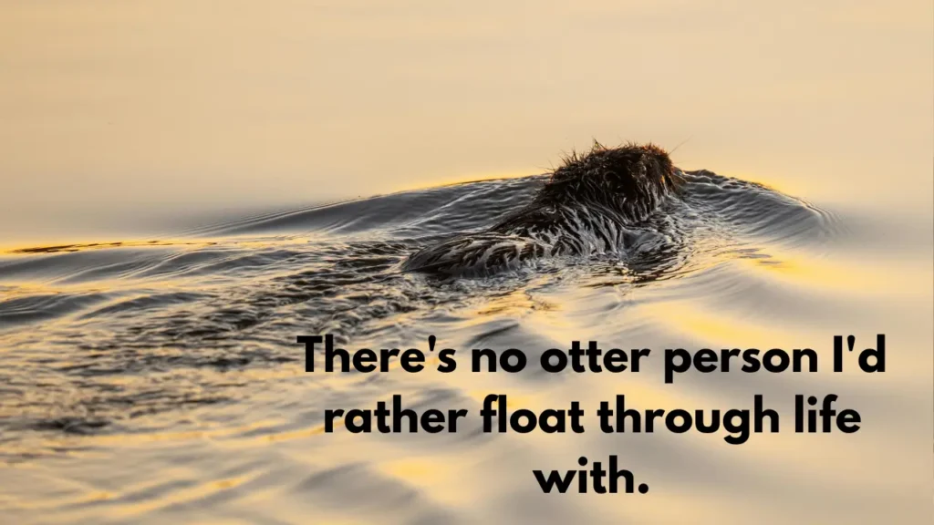 There's no otter person I'd rather float through life with.