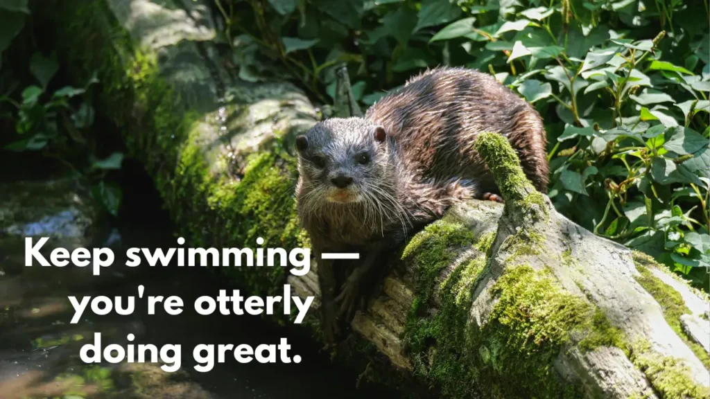 Keep swimming — you're otterly doing great.