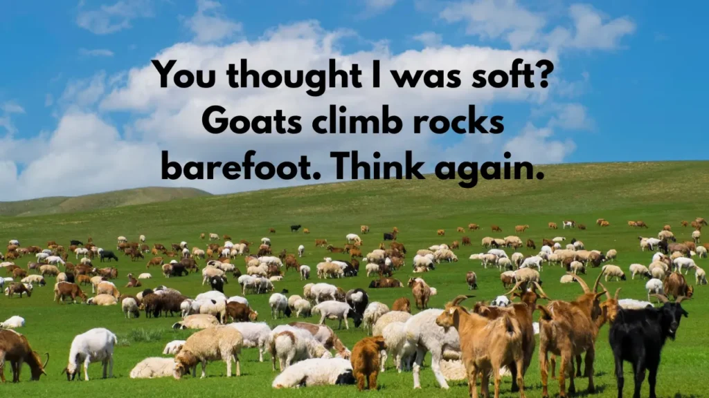 You thought I was soft? Goats climb rocks barefoot. Think again.