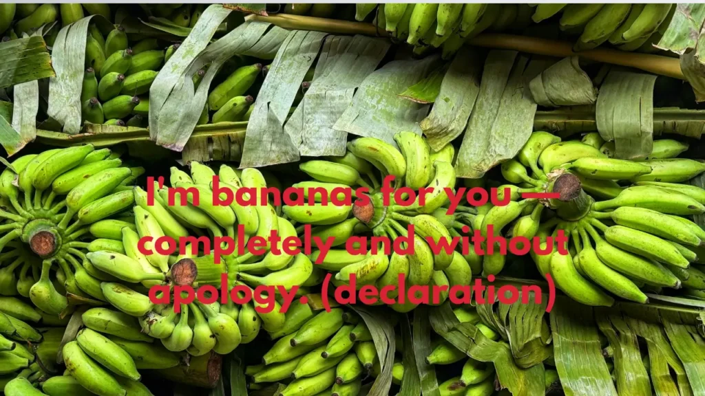 I'm bananas for you — completely and without apology. (declaration)