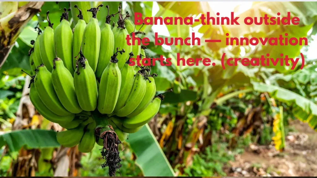 This whole thing is bananas and not in a fun way. (chaos)