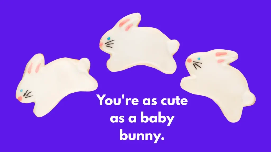 You're as cute as a baby bunny.