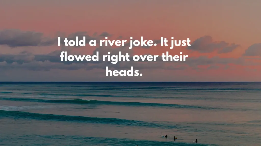 I told a river joke. It just flowed right over their heads.