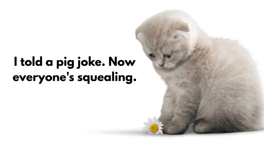 I told a pig joke. Now everyone's squealing.
