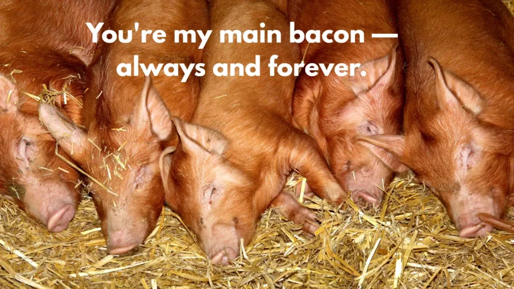 You're my main bacon — always and forever.