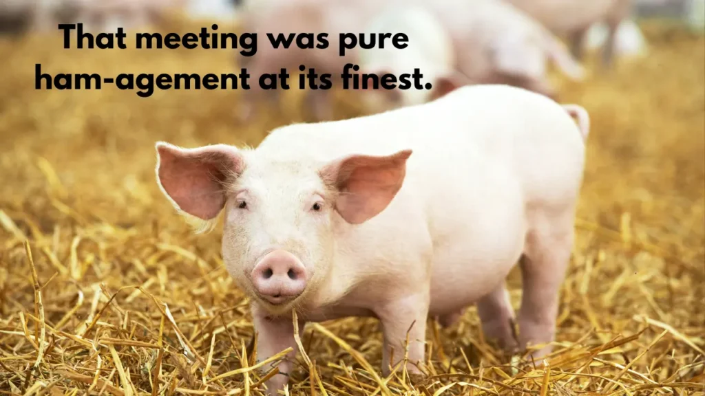 That meeting was pure ham-agement at its finest.
