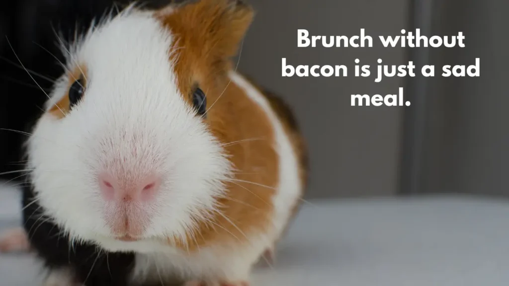 Brunch without bacon is just a sad meal.