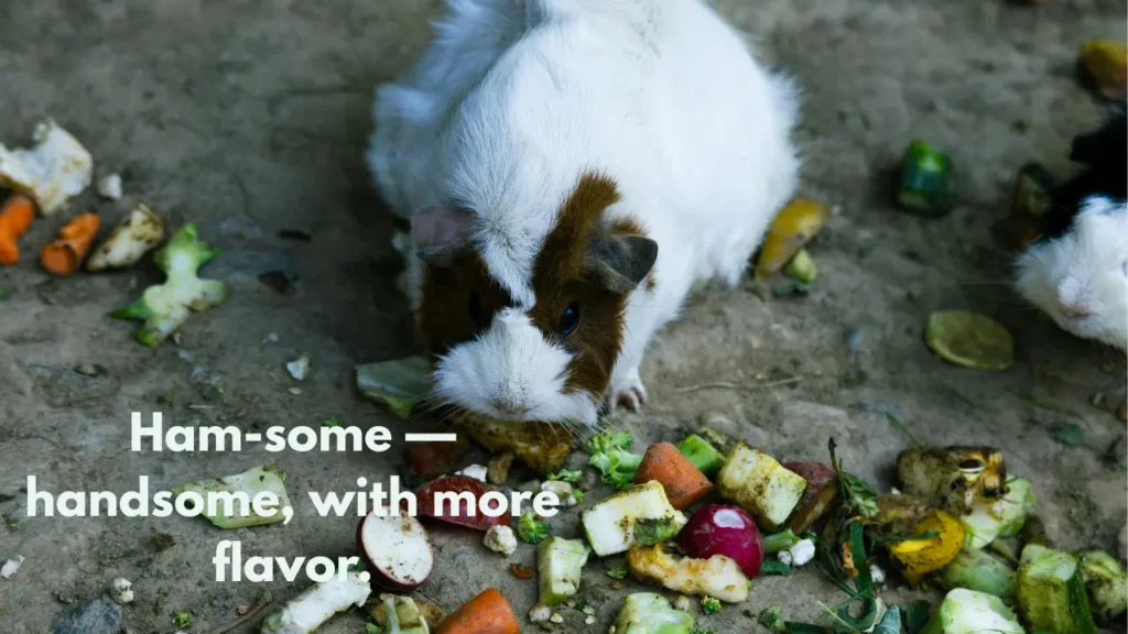 Ham-some — handsome, with more flavor.