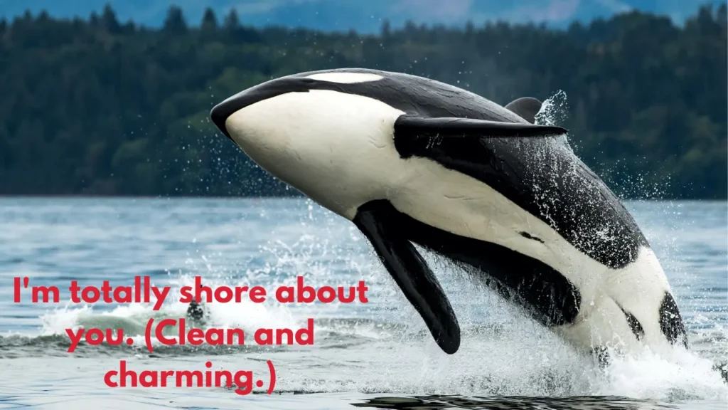 I'm totally shore about you. (Clean and charming.)