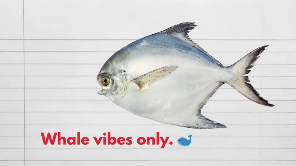 Whale vibes only. 🐋