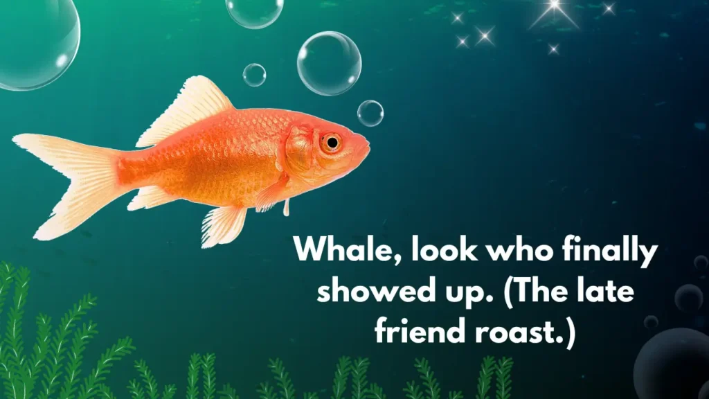 Whale, look who finally showed up. (The late friend roast.)