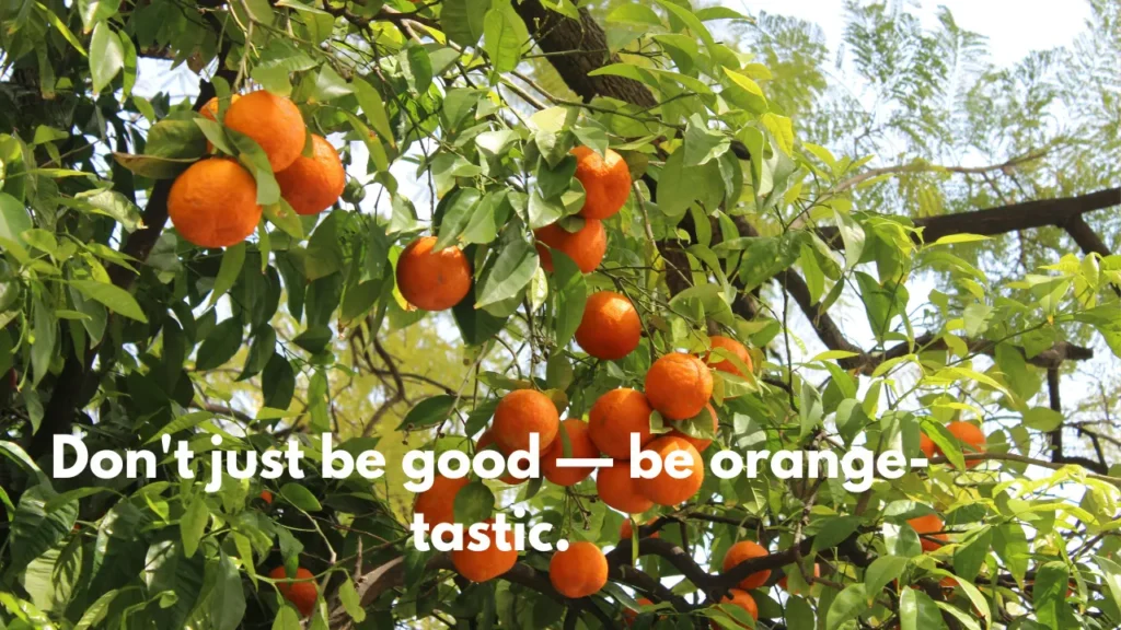 Don't just be good — be orange-tastic.