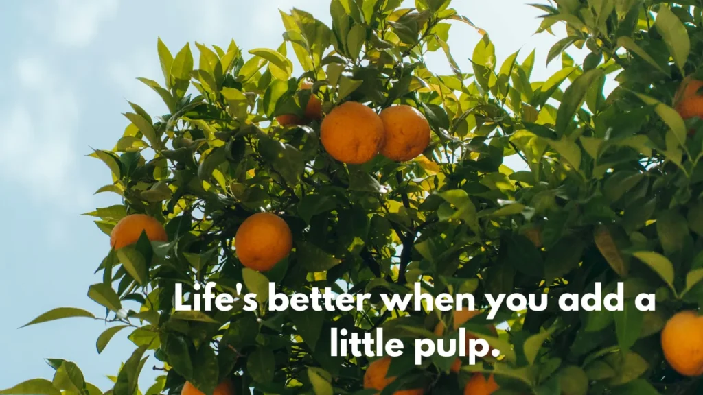 Life's better when you add a little pulp.