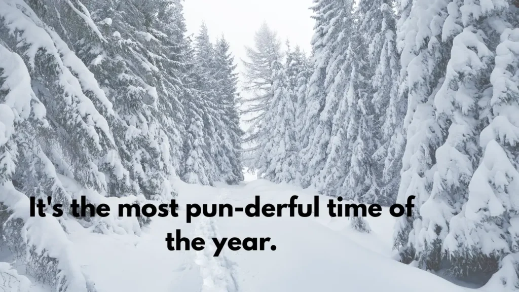 It's the most pun-derful time of the year.