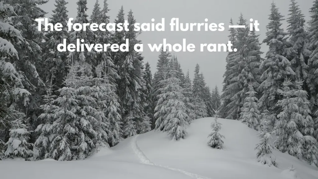 The forecast said flurries — it delivered a whole rant.