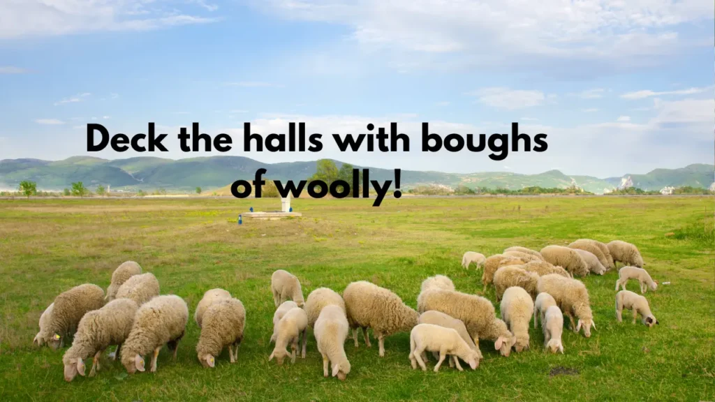 Deck the halls with boughs of woolly!