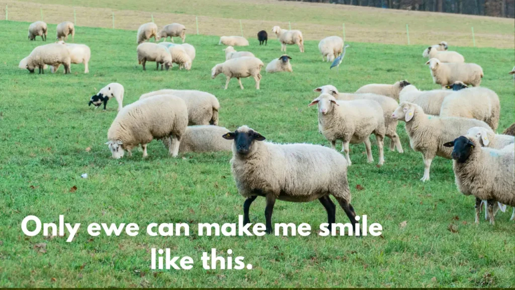 Only ewe can make me smile like this.