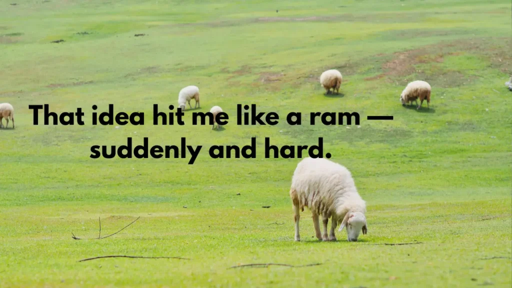 That idea hit me like a ram โ suddenly and hard.