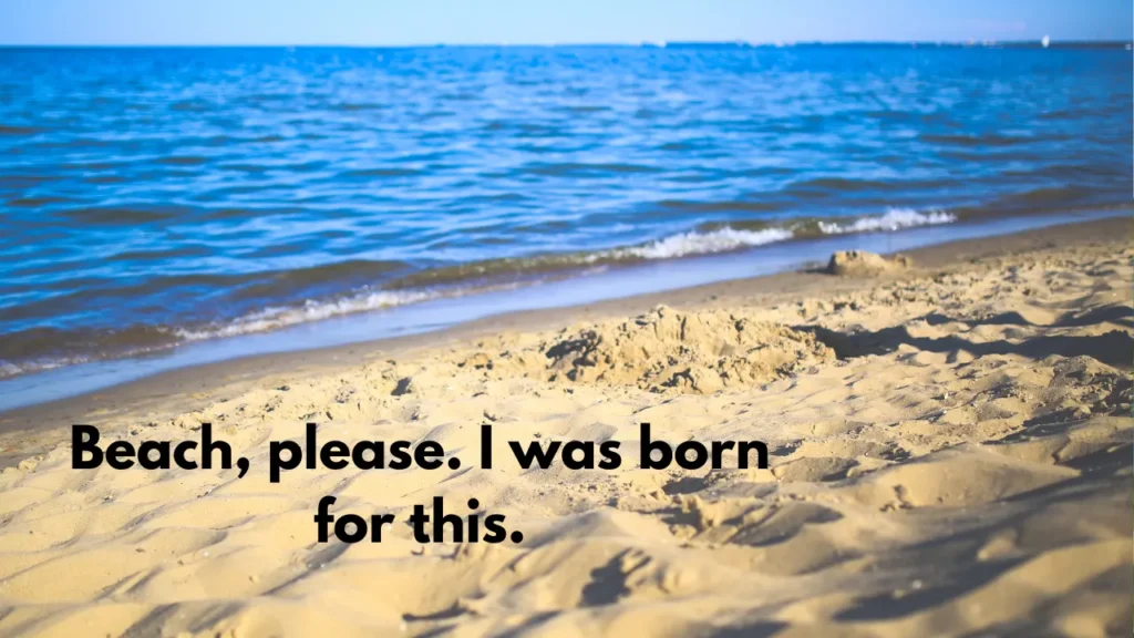 Beach, please. I was born for this.