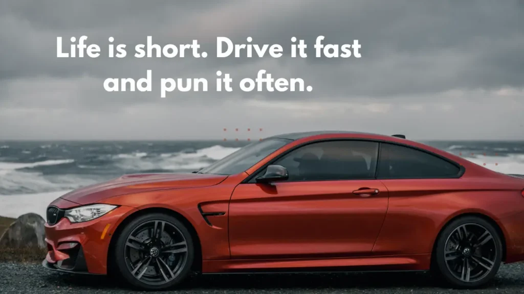 Life is short. Drive it fast and pun it often.