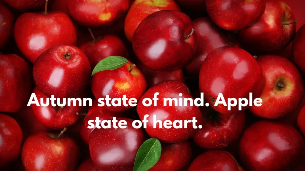 Autumn state of mind. Apple state of heart.