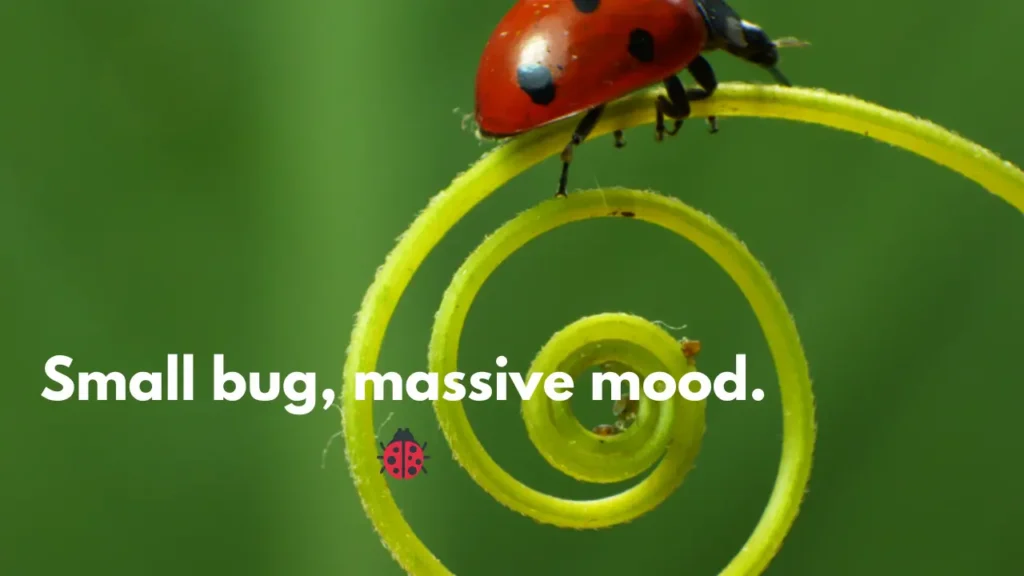 Small bug, massive mood. 🐞